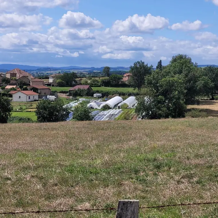 Vue des serres et des planches de culture d'Aux Mille Feuilles depuis le coteau, dans la campagne ligérienne.
