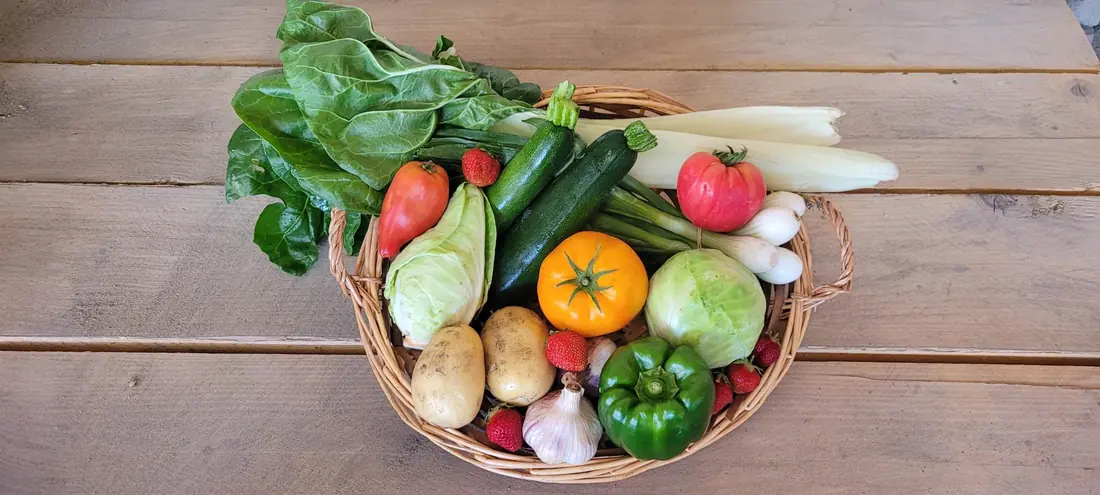 Panier d'osier garni de légumes bio récoltés à la ferme : blettes, courgettes, tomates, choux, pommes de terre, ail, poivron et fraises.
