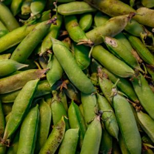 Aux Mille Feuilles - Petit pois